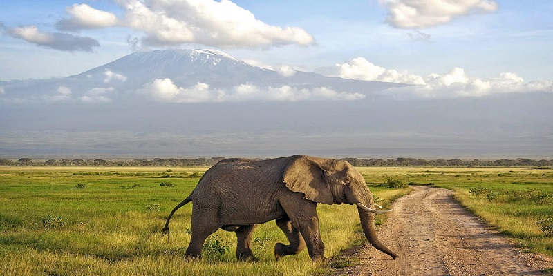 جاذبه‌های گردشگری مومباسا در کنیا
